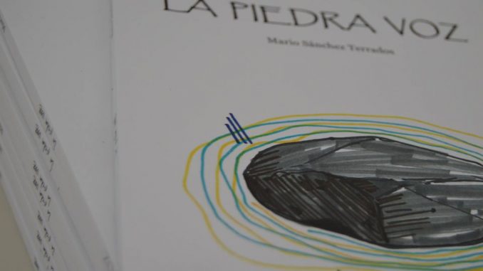 la piedra voz
